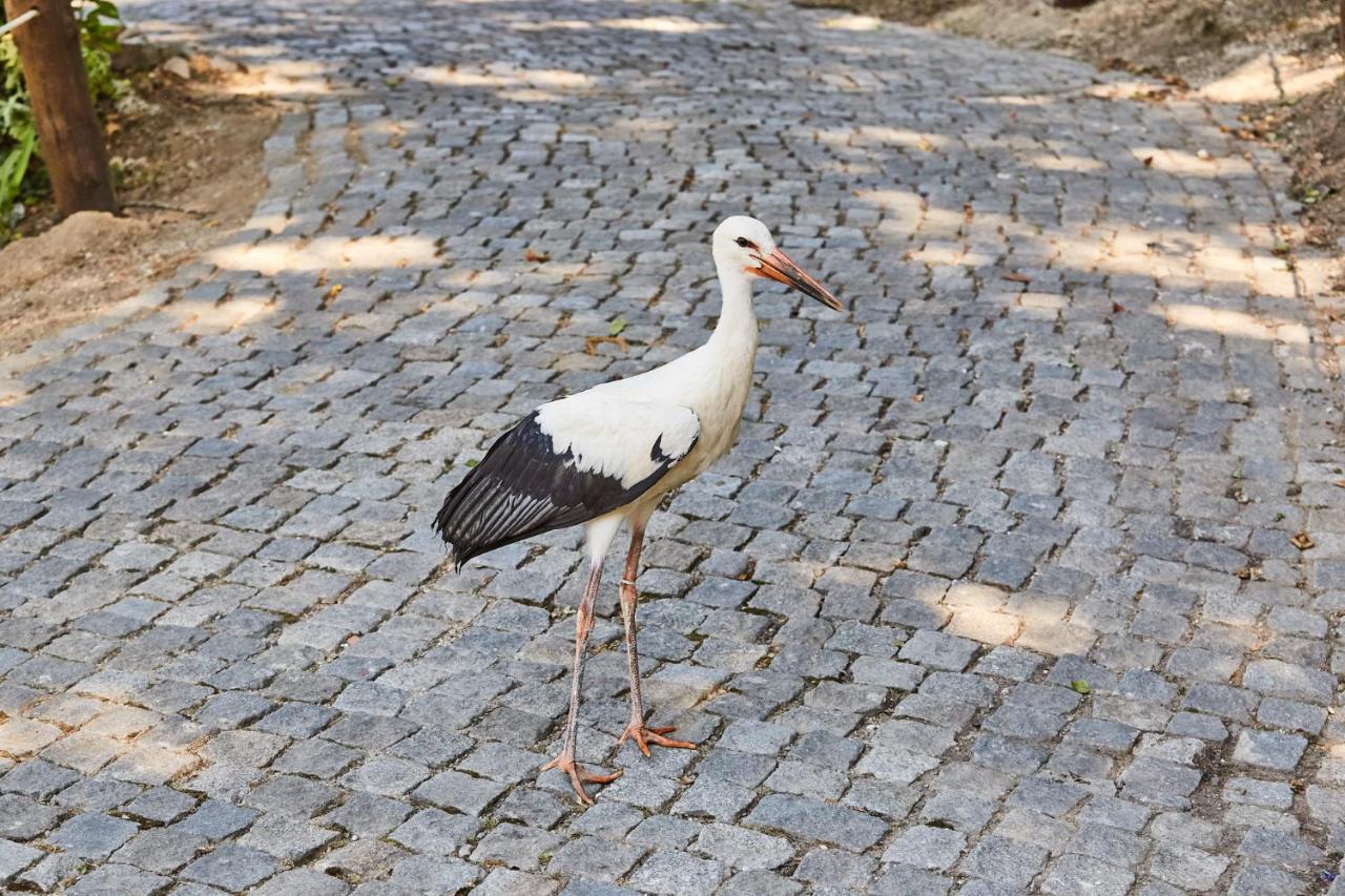 Quinta Do Lordelo Turismo Rural Penafiel Zewnętrze zdjęcie