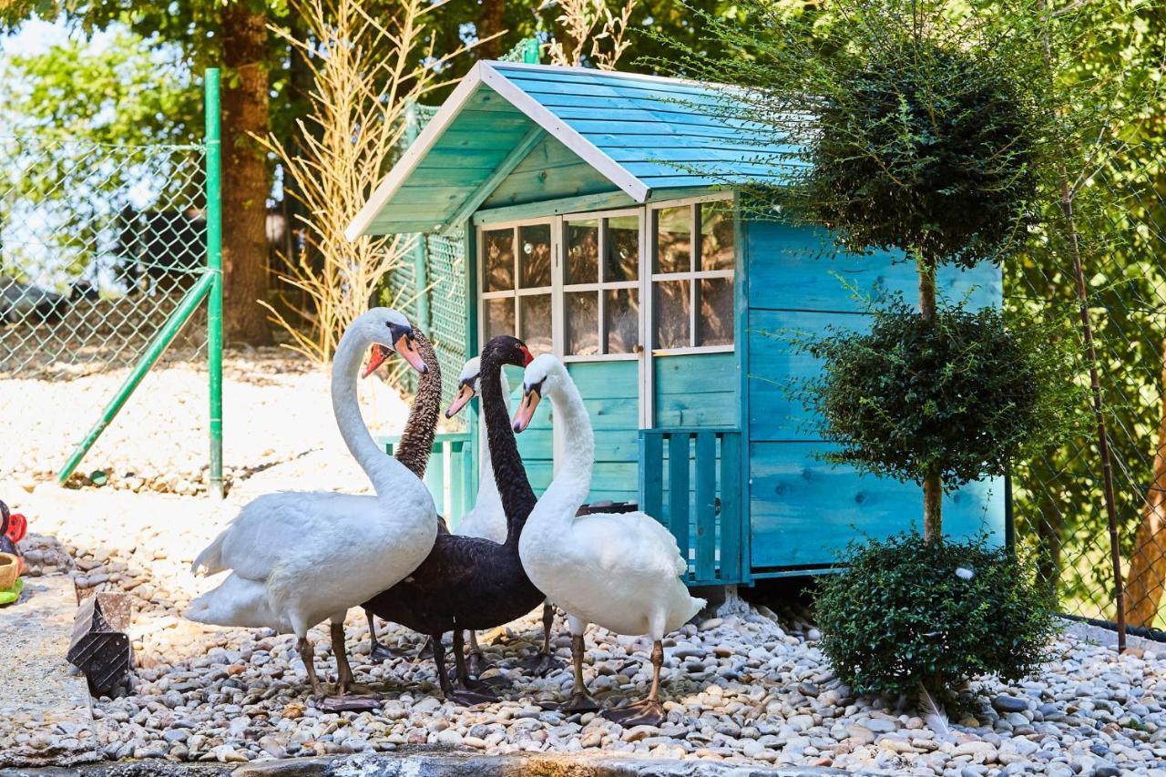 Quinta Do Lordelo Turismo Rural Penafiel Zewnętrze zdjęcie